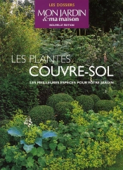 Les Plantes Couvre-Sol ; Les Meilleures Espèces Pour Votre Jardin
