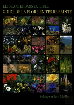 Bertrand.pt - Les Plantes Dans La Bible - Guide De La Flore En Terre Sainte