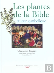 Les Plantes De La Bible Et Leur Symbolique