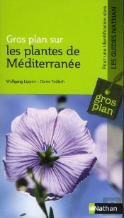 Les Plantes De Méditerranée