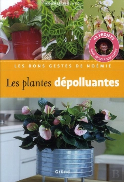 Bertrand.pt - Les Plantes Depolluantes