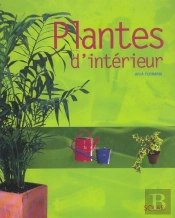 Les Plantes D'Interieur