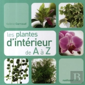 Les Plantes D'Intérieur De A À Z