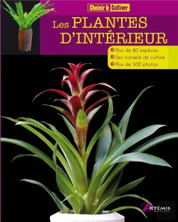 Bertrand.pt - Les Plantes D'Intérieur
