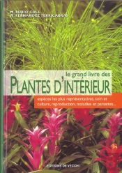 Les Plantes D'Interieur