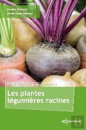Les Plantes Légumières Racines