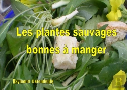 Bertrand.pt - Les Plantes Sauvages Bonnes À Manger