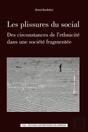Les Plissures Du Social : Des Circonstances De L'Ethnicité Dans Une Société Fragmentée