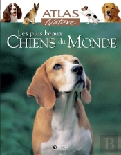 Les Plus Beaux Chiens Du Monde