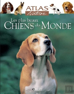 Bertrand.pt - Les Plus Beaux Chiens Du Monde