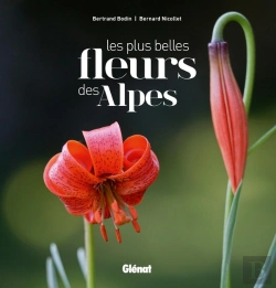 Bertrand.pt - Les Plus Belles Fleurs Des Alpes