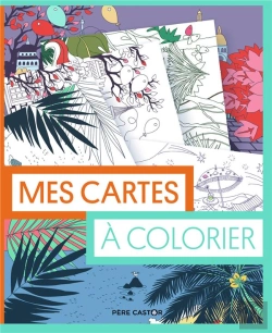 Bertrand.pt - Les Pochettes Du Pere Castor - Mes Cartes A Colorier