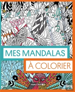 Bertrand.pt - Les Pochettes Du Pere Castor - Mes Mandalas A Colorier