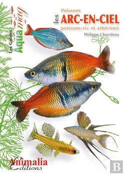 Bertrand.pt - Les Poissons Arc-En-Ciel ; Poissons-Riz Et Athérines