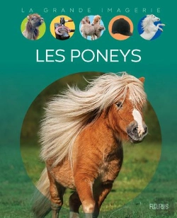 Bertrand.pt - Les Poneys