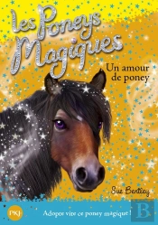 Les Poneys Magiques N06 Riding Rescue