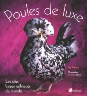 Les Poules De Luxe