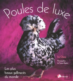 Bertrand.pt - Les Poules De Luxe