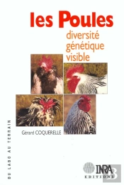 Les Poules Diversite Genetique Visible. - Coquerelle/Les Poules Diversite Genetique Visible./