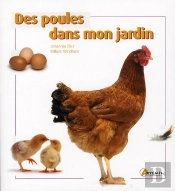 Les Poules, Élevage Et Entretien