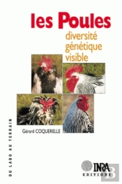Les Poules