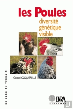 Bertrand.pt - Les Poules