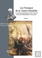 Les Pourquoi De La Première Guerre Mondiale