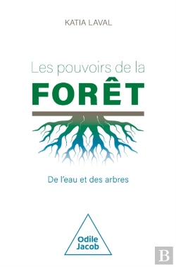 Bertrand.pt - Les Pouvoirs De La Forêt