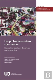 Les Problèmes Sociaux Sous Tension : Penser Les Interfaces Des Enjeux Contemporains