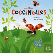 Les P'Tites Coccinelles ; La Vie D'Un Coléoptère