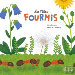 Bertrand.pt - Les P'Tites Fourmis