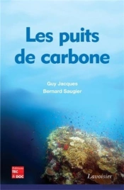 Les Puits De Carbone