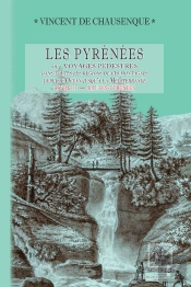 Les Pyrénées ; Ou Voyages Pédestres Dans Toutes Les Régions De Ces Montagnes Depuis L'Océan Jusqu'À La Méditerranée