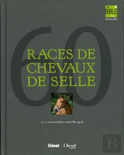 Les Races De Chevaux