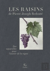 Les Raisins De Pierre-Joseph Redouté : Des Aquarelles Pour L'Avenir De La Vigne