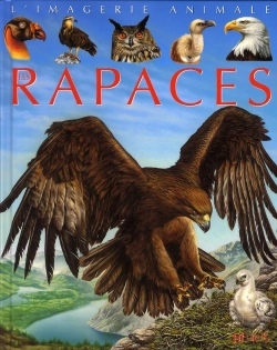 Bertrand.pt - Les Rapaces