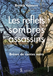 Les Reflets Sombres Assassins ; Brèves De Contes Noirs