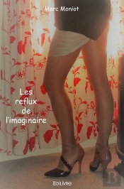 Les Reflux De L'Imaginaire