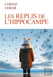 Les Replis De L'Hippocampe