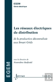 Les Reseaux Electriques De Distribution De La Production Decentralisee Au Smart Grids Traite Egem Se