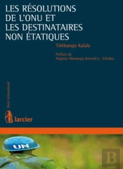 Les Résolutions De L'Onu Et Les Destinataires Non Étatiques
