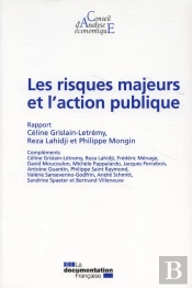 Les Risques Majeurs Et L'Action Publique