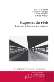 Les Ruptures Du Récit ; Essais Sur La Discontinuité Narrative