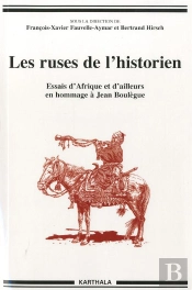Les Ruses De L'Historien ; Essais D'Afrique Et D'Ailleurs En Hommage À Jean Boulègue