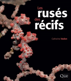 Bertrand.pt - Les Rusés Des Récifs