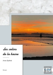Les Salins De La Haine