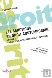 Les Sanctions En Droit Contemporain Tome 1 ; La Sanction Entre Technique Et Politique