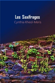 Les Saxifrages