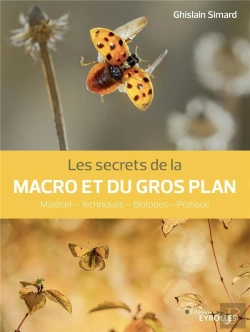 Bertrand.pt - Les Secrets De La Macro Et Du Gros Plan : Matériel, Techniques, Biotopes, Pratique