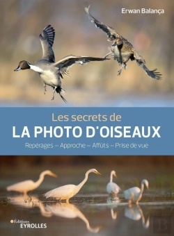 Bertrand.pt - Les Secrets De La Photo D'Oiseaux : Repérages, Approche, Affuts, Prise De Vue